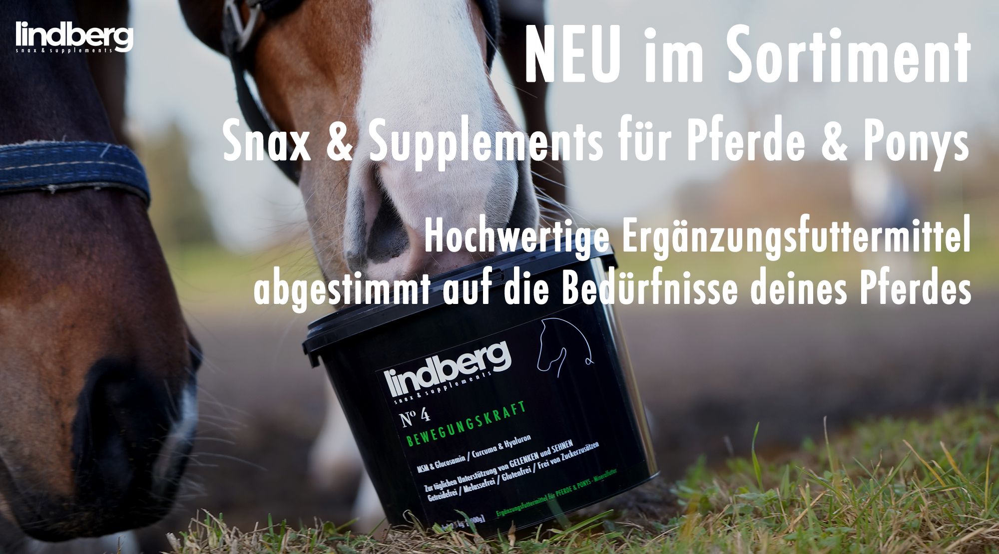 Lindberg Equestrian supplements und Snacks für Pferde und Ponys